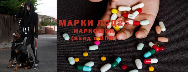 mdma Богородицк